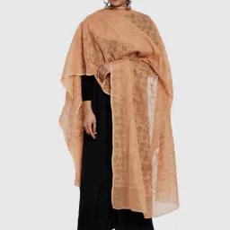 Fabindia Brown Woven Pattern Dupatta-picture-40