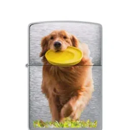 Zippo Golden Retriever Graphic Silver Brass Windproof Pocket Lighter-image-31