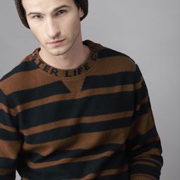 Roadster Men Brown & Navy Striped Sweater-image-28