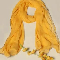 Mustard Yellow Dupatta-picture-11