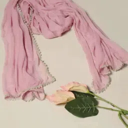Mustard Onion Colour Dupatta-picture-4