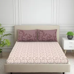 SPACES Beige & Purple Floral Printed Cotton 144 TC Queen Bedsheet With 2 Pillow Covers-image-4
