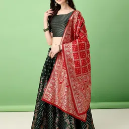 SWAMI STUDIO Ready to Wear Lehenga & Unstitched Blouse With Dupatta image 4