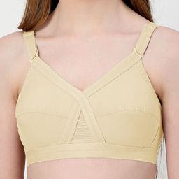 LILY Pack Of 2 Full Coverage Cotton Minim er Bra image 4
