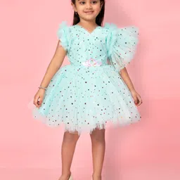 BAESD Polka Dot Print Flutter Sleeve Net Fit & Flare Dress-image-70