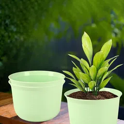 Kuber Industries Green 3 Pieces Textured Planters With Plate-17