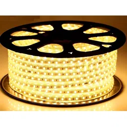 ENORMITY Gold Toned Rice-Shaped String Lights image 1