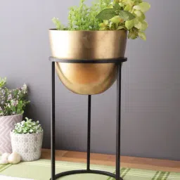 Golden Brass Planter with Black Stand-image-90