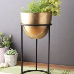Golden Brass Planter with Black Stand-image-43