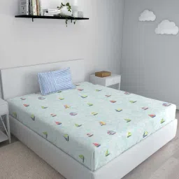 GM Fiesta Blue Cotton 180 TC Single Kids Bedsheet with Pillow Cover-image-22