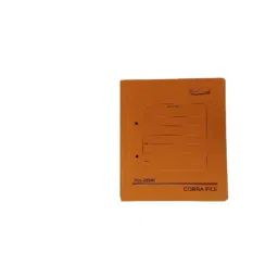 AAGAM Cobra File (Spring Clip) No. 3200 Pack of 24 image 3