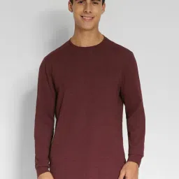 American Eagle Wine Regular Fit T-Shirt-picture-27