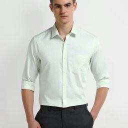 Arrow Green Cotton Regular fit Stripes Shirt-picture-26