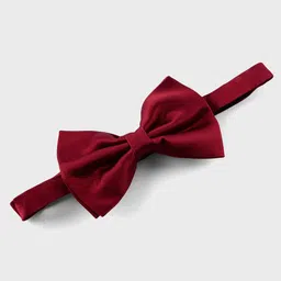 Big Hello - The Plus Life Men Dapper Chic Silk Bow Tie-picture-13
