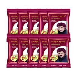 Parampara Ayurved Heena Hair Colour For Shiny Hair With Amla-20g-Burgundy-19