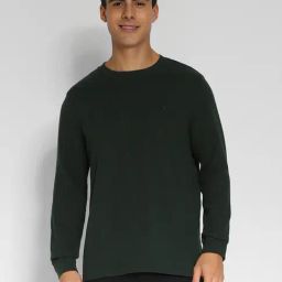 American Eagle Moss Green Regular Fit T-Shirt-image-56