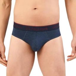 U.S. Polo Assn. Navy Briefs-picture-47