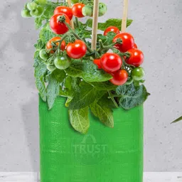 TRUSTBASKET HDPE Set Of 5 Green Round Grow Bag-2