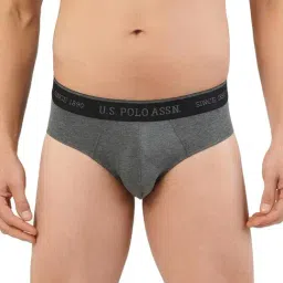 U.S. Polo Assn. Dark Grey Regular Fit Briefs-picture-13