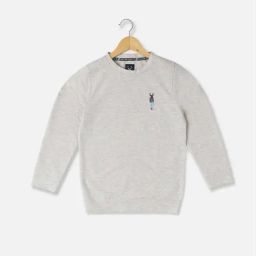 Allen Solly Boys Grey Solid Full Sleeves T-shirt-image-60