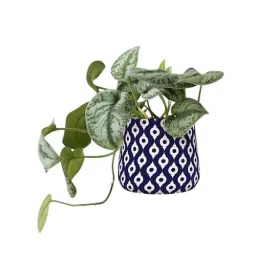 ORILEY Metal Flower Pot Gamla Round Planter 13 x 13 cm White Pattern Over Blue-image-40