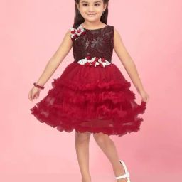 Aarika Kids Maroon Applique Frock Dress-image-72