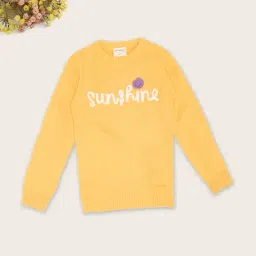 Pantaloons Junior Girls Banana Cream Embroidery Sweater-picture-35