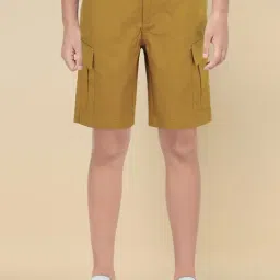 Allen Solly Junior Boys Khaki Shorts-picture-14