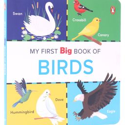 My First Big Book of Birds - English-7
