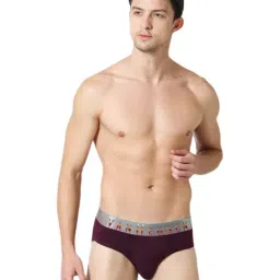 Van Heusen Regular Fit Colour Fresh Ultra Soft Solid Briefs - Potent Purple-picture-8