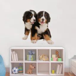rawpockets Black & Brown Cute Pair Dog Vinyl Wall Decal Sticker-image-11