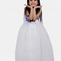 Wish little Net A-Line Maxi Dress image 1