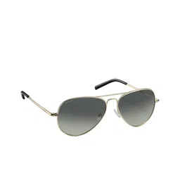 Polaroid Unisex Green Lens & Rose Gold-Toned Aviator Sunglasses with-picture-29