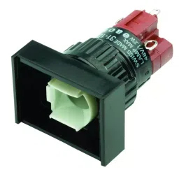 EAO SWITCH, PUSHBUTTON, DPDT, 5A, 250V, 31-262.025-41