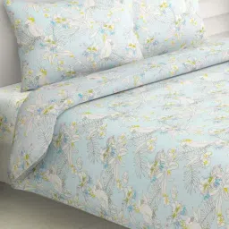 Haus & Kinder Blue & Yellow Cotton 300 TC Tropical Bird Printed King Bedsheet with 2 Pillow Covers-image-32