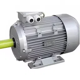 CG Power Three Phase 30 HP 6 Pole Foot Mounted IE2 Cast Iron Body Induction Motor-picture-24