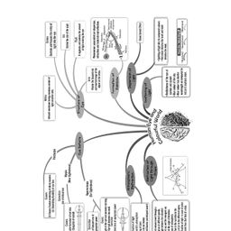oswaal books Oswaal NTSE 10 Yearwise Solved Papers 2011 to 2021 Stage-1 & 2 MAT + SAT (For 2023 Exam) image 4