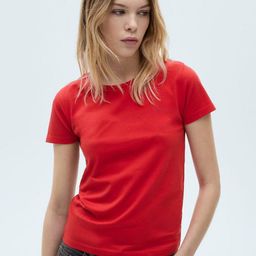 Mast & Harbour Round Neck Bio Finish Pure Cotton T-shirt-image-8