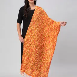 Aditi Wasan Orange Printed Dupatta image 1