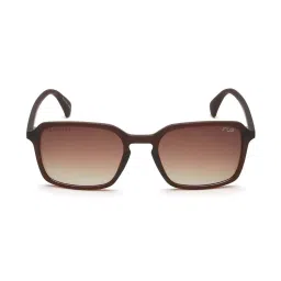 Irus IRS1190C2PSG Brown Square Sunglasses image 1