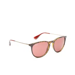 Ray-Ban Unisex Oval Sunglasses 0RB417163917554-image-71