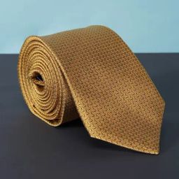 Peter England Beige Embroidered Tie-picture-41