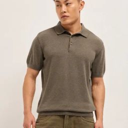 The Bear House Brown Regular Fit Solid Polo T-Shirt-image-66