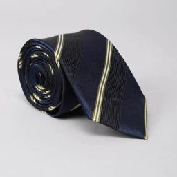 Peter England Navy Textured Tie-picture-26