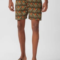 Peter England Green Cotton Regular Fit Printed Boxers-picture-42