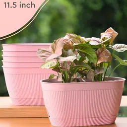 eha 6-Pcs Pink Rectangular Planter-43