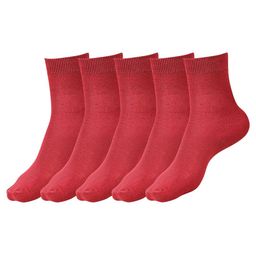 Dollar Socks Kids Pack Of 5 Cotton Calf Length Socks-13