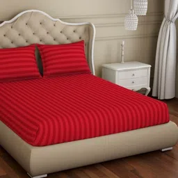 Bedbathandbliss Red Striped 300 TC Bedsheet with 2 Pillow Covers-image-19