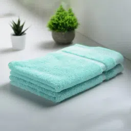 Spaces Hygro Light Green 600 GSM Cotton Hand Towel - Set of 2-89