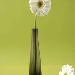 Aura Grey Elegant & Crystal Clear Glass Flower Vase-33